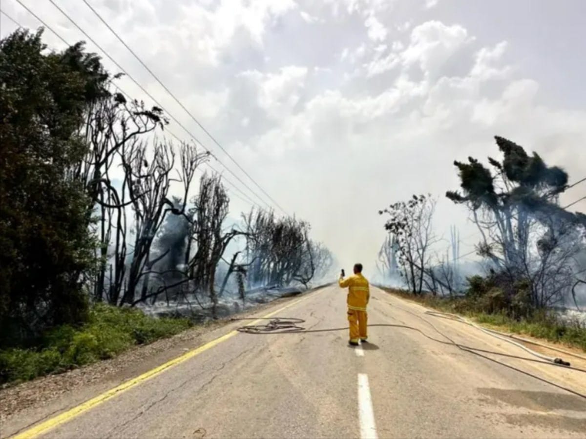 Из-за сильной жары в Израиле за сутки произошло более 220 пожаров
