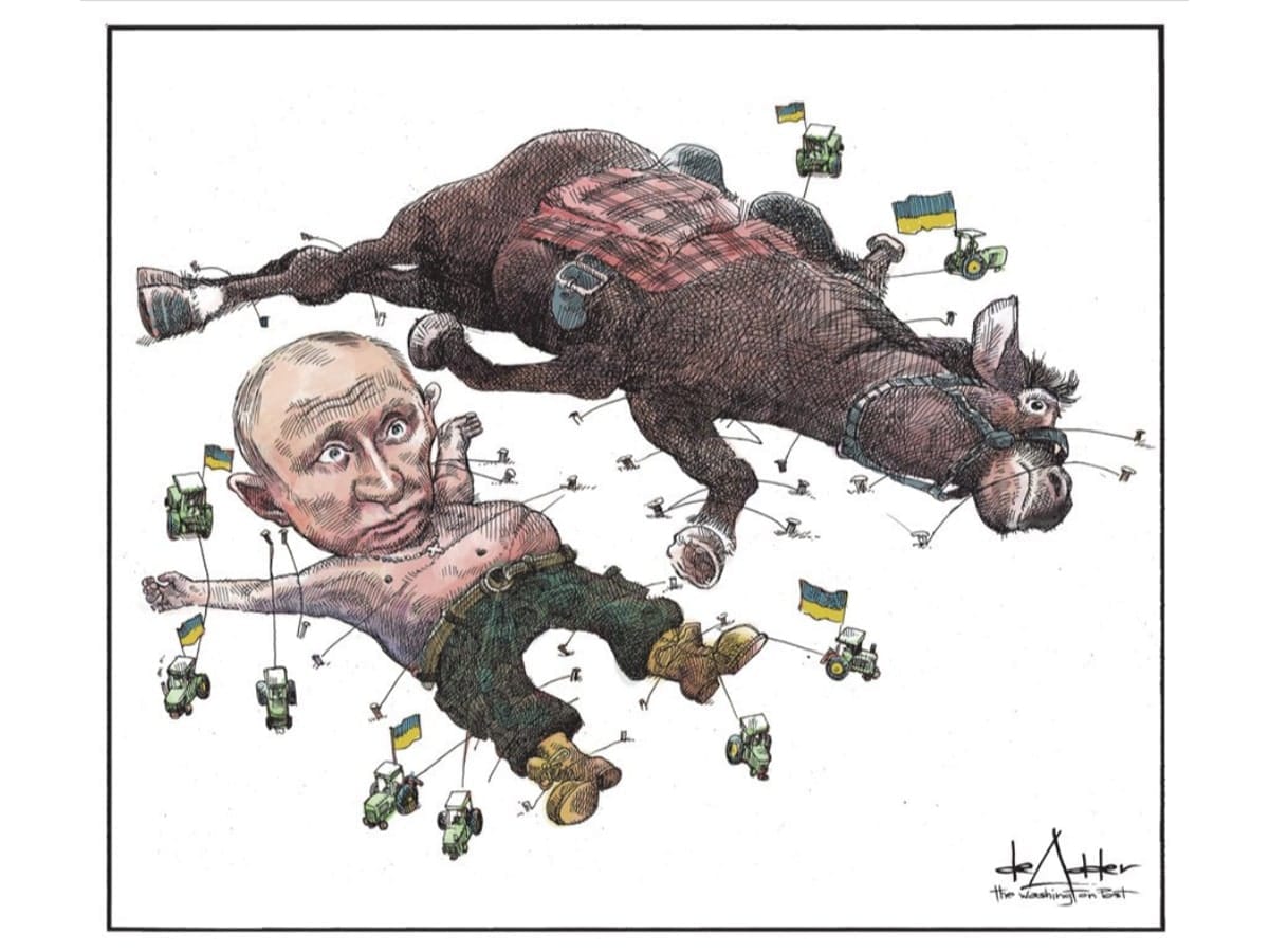 Ни одна лошадь не пострадала: в WP высмеяли путина на карикатуре