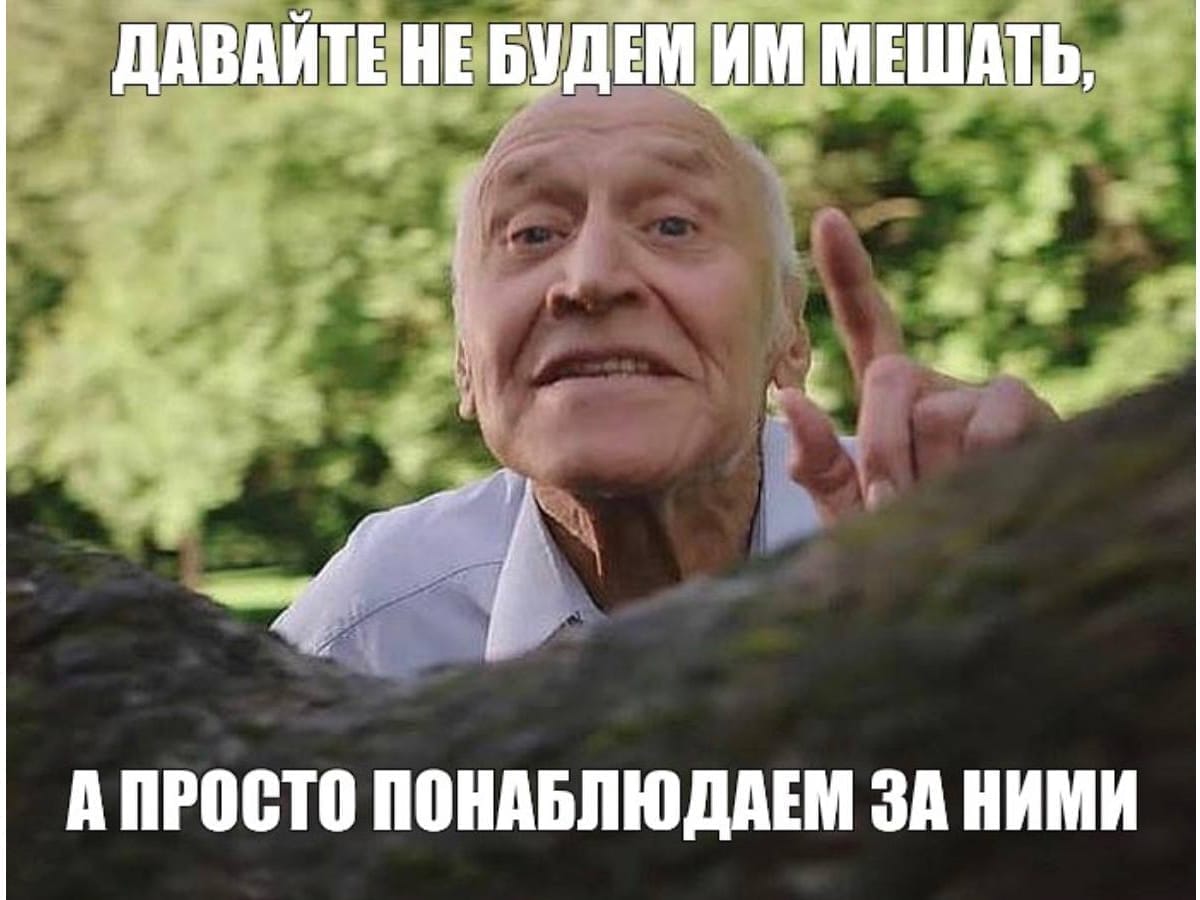 Весь мир запасся попкорном и включил телевизор