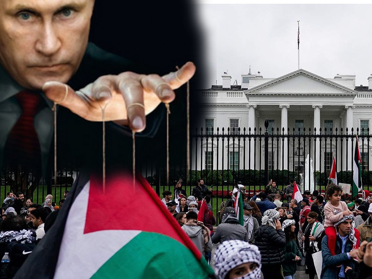 Требование в США: «Расследовать связь России с протестами в США против войны в Газе, призывать прекратить огонь - это послание путину»