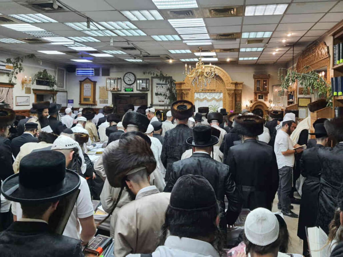 Более 3000 еврейских паломников приехали в Умань на Шавуот