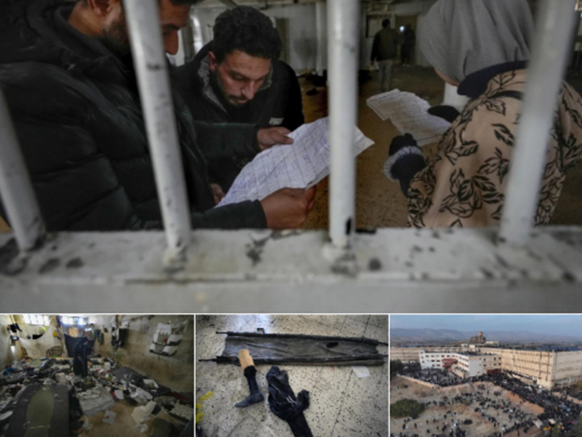 НАновости "«Смелый» Асад бежал к путину. Куда сбежит путин?" — Зеленский в "День прав человека" 10 декабря 2024