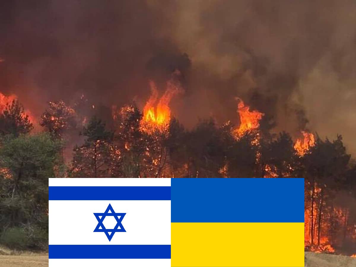 Украина предложила помощь в тушении пожаров в Израиле: уже 1 мая прибудет украинский пожарный самолет