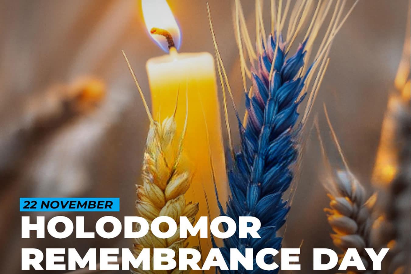 Голодомор: память, которая не исчезает. 22 ноября 2025 года Украина вспоминает миллионы погибших